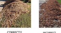 Correct Raking Picture